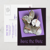 Save the Date Postkarte 2 - Weiße Anthurien (Vorne/Hinten)