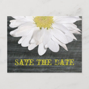 Save the Date Postkarte - Gänseblümchen u.