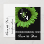 Save the Date Postkarte - Kalkgrüne Sonnenblume (Vorne/Hinten)