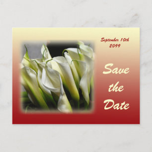 Save the Date Postkarte - weiße Calla-Lilien