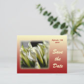 Save the Date Postkarte - White Calla Lilies (Stehend Vorderseite)