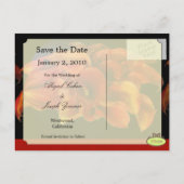 Save the Date Postkarten, orangefarbene Calla-Lili Ankündigungspostkarte (Rückseite)