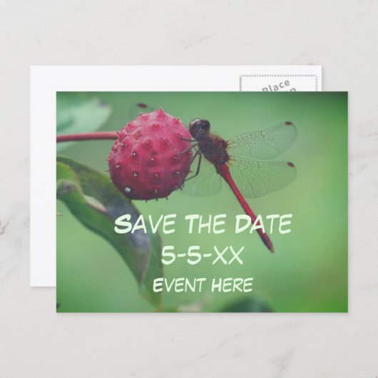 Save The Date Red Dragonfly Nature Ankündigungspostkarte (Vorne/Hinten)
