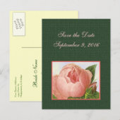 Save the Date rosa Botanische Rose Postkarte (Vorne/Hinten)