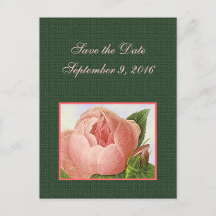 Save the Date rosa Botanische Rose Postkarte