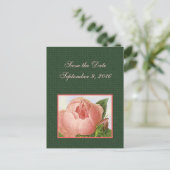 Save the Date rosa Botanische Rose Postkarte (Stehend Vorderseite)