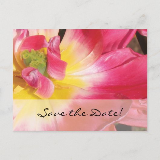 Save The Date! Rosa Gelbe Blume Postkarte (Vorderseite)
