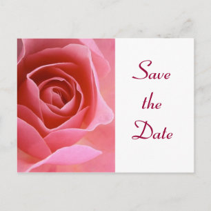 Save the Date Rosa Rose Ankündigungspostkarte