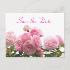 Save the Date - rosa Rosen Ankündigungspostkarte