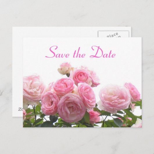 Save the Date - rosa Rosen Ankündigungspostkarte (Vorne/Hinten)