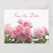 Save the Date - rosa Rosen Ankündigungspostkarte (Vorderseite)