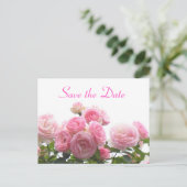 Save the Date - rosa Rosen Ankündigungspostkarte (Stehend Vorderseite)