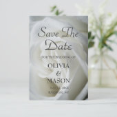 Save the Date - Rose weiß texturiert (Stehend Vorderseite)