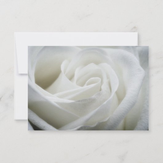 Save the Date - Rose weiß texturiert (Rückseite)