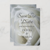 Save the Date - Rose weiß texturiert (Vorne/Hinten)