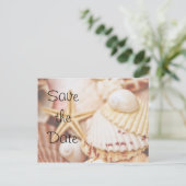 Save the Date Seashell Postcard Ankündigungspostkarte (Stehend Vorderseite)