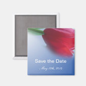 Save the Date, Single-Tulpenrose-Blume Magnet (Vorderseite/Rückseite)