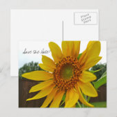 Save the Date Sonnenblume Postkarte (Vorne/Hinten)
