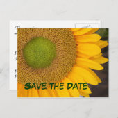 Save the Date Sonnenblumenfotografie Postkarte (Vorne/Hinten)