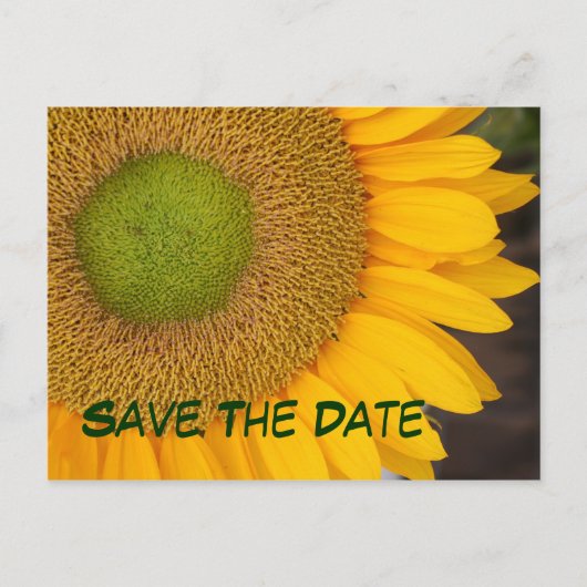 Save the Date Sonnenblumenfotografie Postkarte (Vorderseite)