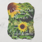 Save the Date Sunflower Wedding Einladung (Vorne/Hinten)
