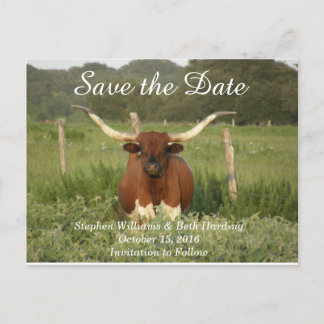 Save the Date Texas Longhorn Ankündigungspostkarte