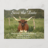 Save the Date Texas Longhorn Ankündigungspostkarte (Vorderseite)