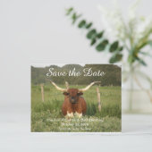 Save the Date Texas Longhorn Ankündigungspostkarte (Stehend Vorderseite)