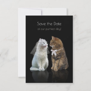 Save the Date unseres Purr-Fect-Tages!