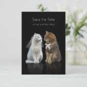 Save the Date unseres Purr-Fect-Tages! (Stehend Vorderseite)