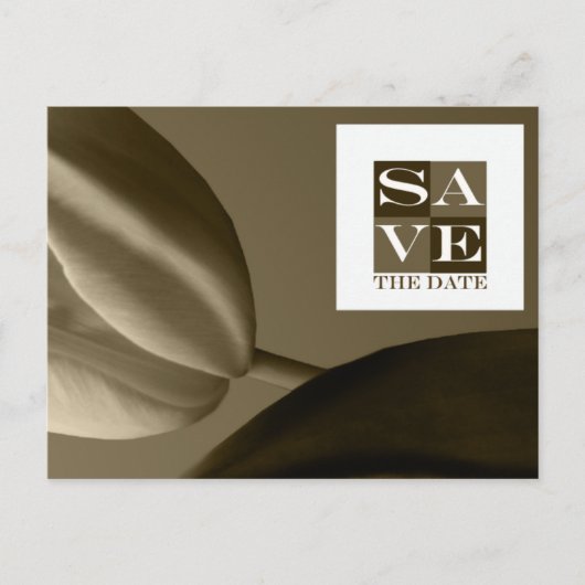 Save the Date Veranstaltung und Hochzeitspostkarte Ankündigungspostkarte (Vorderseite)