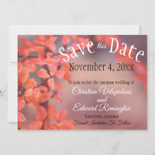 Save The Date Wedding Autumn Leaves Framing Bokeh Ankündigung