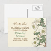 Save the Date weiße Blume elegante Postkarten (Vorne/Hinten)
