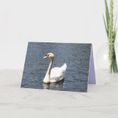 Save the Date weißer Schwan Ankündigung (Rückseite)