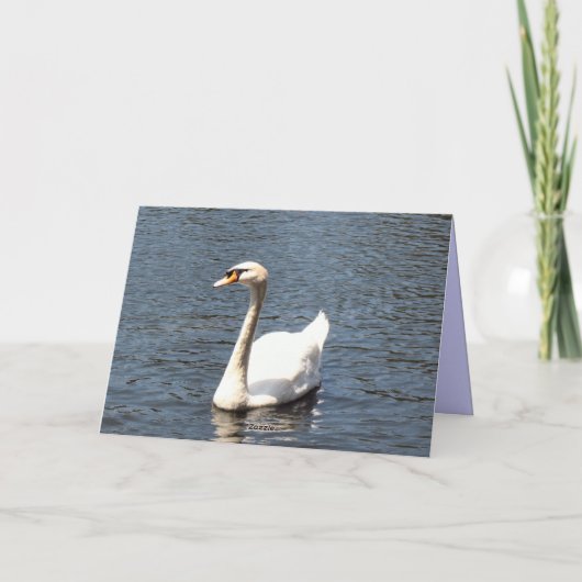 Save the Date weißer Schwan Ankündigung (Rückseite)