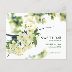Save the Date White Cherry Blossom Postkarte