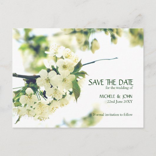 Save the Date White Cherry Blossom Postkarte (Vorderseite)
