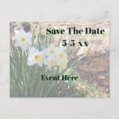Save The Date White Daffodil Flowers Ankündigungspostkarte (Vorderseite)