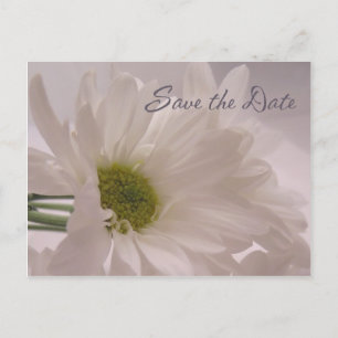 Save the Date - White Daisies Ankündigungspostkarte