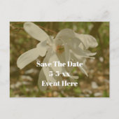 Save The Date White Magnolia Flower Ankündigungspostkarte (Vorderseite)