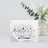 Save the Date White Rose Ankündigungspostkarte (Stehend Vorderseite)