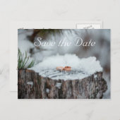 Save the Date - Winterhochzeit Ankündigungspostkarte (Vorne/Hinten)