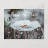 Save the Date - Winterhochzeit Ankündigungspostkarte (Vorderseite)