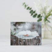 Save the Date - Winterhochzeit Ankündigungspostkarte (Stehend Vorderseite)