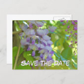 Save The Date Wisteria Flower Ankündigungspostkarte (Vorne/Hinten)