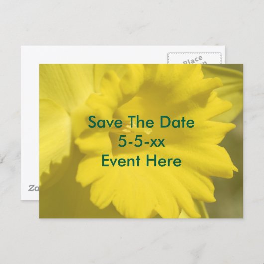 Save The Date Yellow Daffodil Flower  Ankündigungspostkarte (Vorne/Hinten)