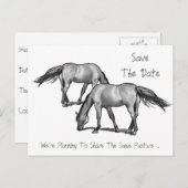 Save the Date: Zwei Pferde: Hitched Ankündigungspostkarte (Vorne/Hinten)