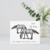 Save the Date: Zwei Pferde: Hitched Ankündigungspostkarte (Stehend Vorderseite)