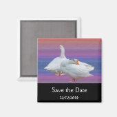 Save the Date, zwei weiße Gänse. Magnet (Vorderseite/Rückseite)