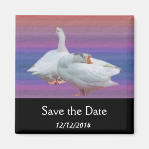 Save the Date, zwei weiße Gänse. Magnet